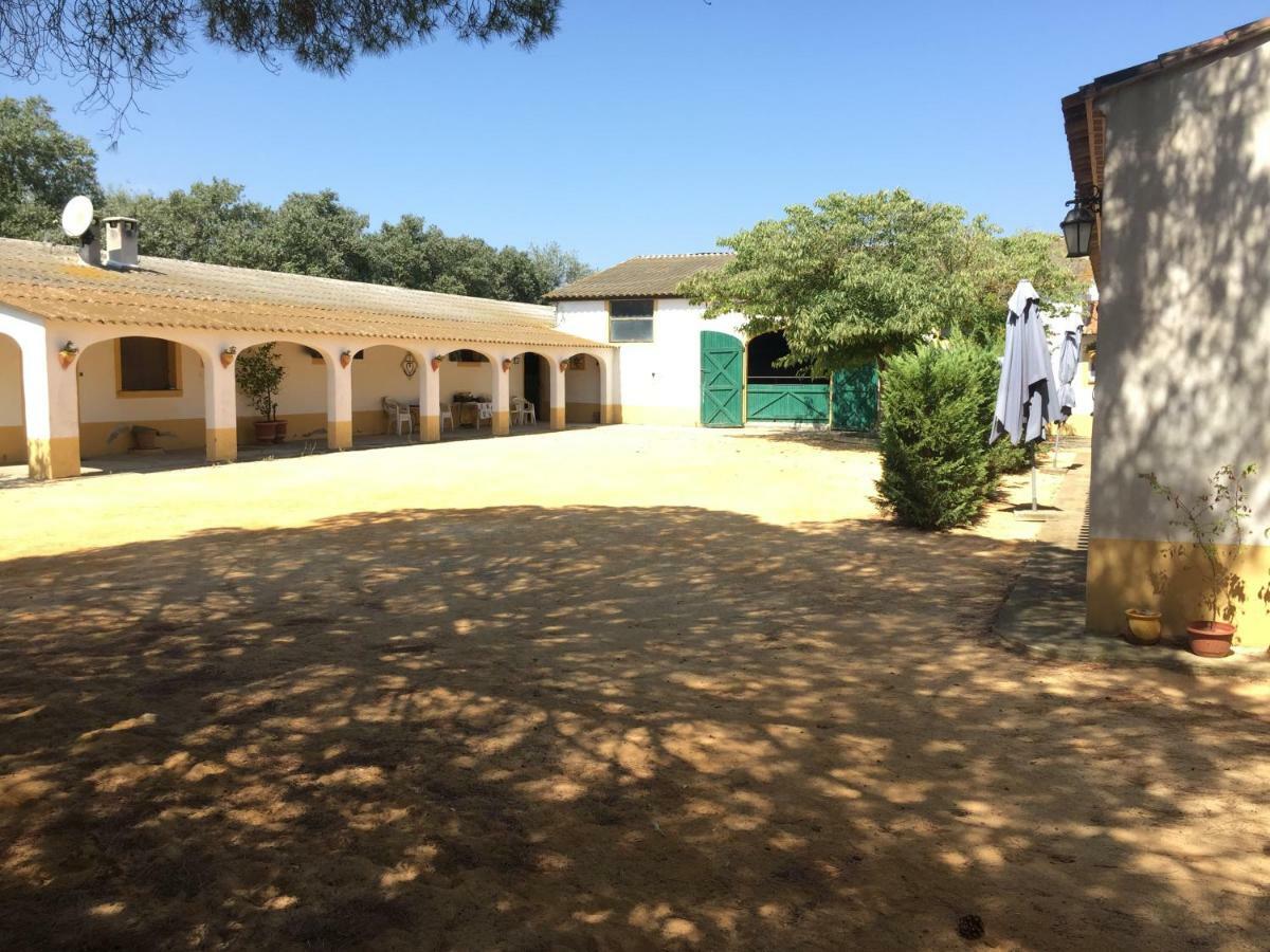 El Rocio 1 Gites Equestre Saintes-Maries-de-la-Mer Eksteriør bilde